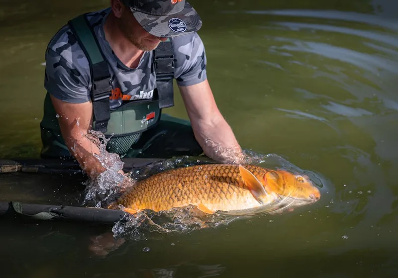 carp fishing weigh sling ,  photo from Pexels